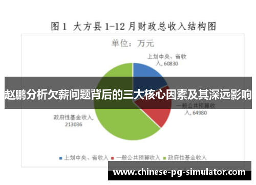 赵鹏分析欠薪问题背后的三大核心因素及其深远影响