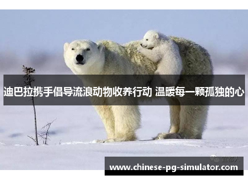 迪巴拉携手倡导流浪动物收养行动 温暖每一颗孤独的心 迪巴拉携手倡导流浪动物收养行动 温暖每一颗孤独的心