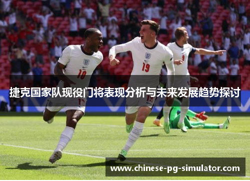 捷克国家队现役门将表现分析与未来发展趋势探讨 捷克国家队现役门将表现分析与未来发展趋势探讨