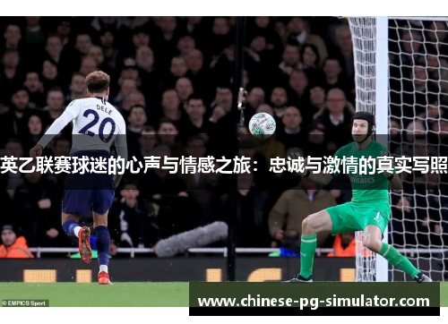 英乙联赛球迷的心声与情感之旅：忠诚与激情的真实写照