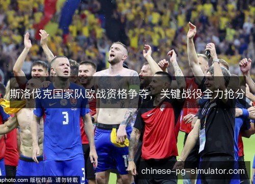 斯洛伐克国家队欧战资格争夺，关键战役全力抢分